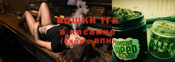 молекула духа Заволжье