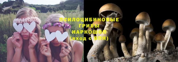 молекула духа Заволжье