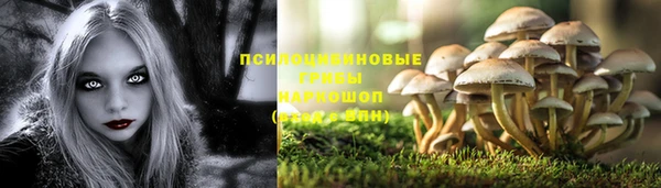 спиды Заводоуковск