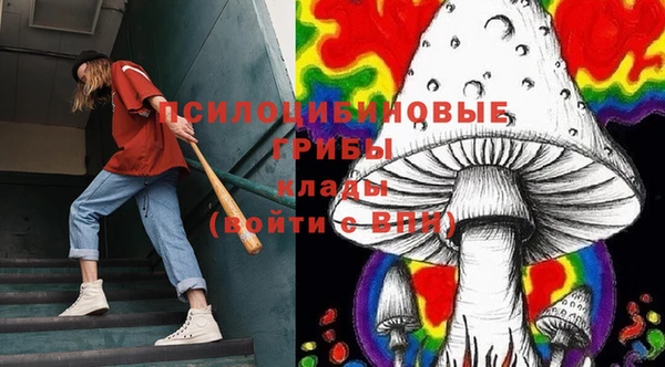 меф Протвино