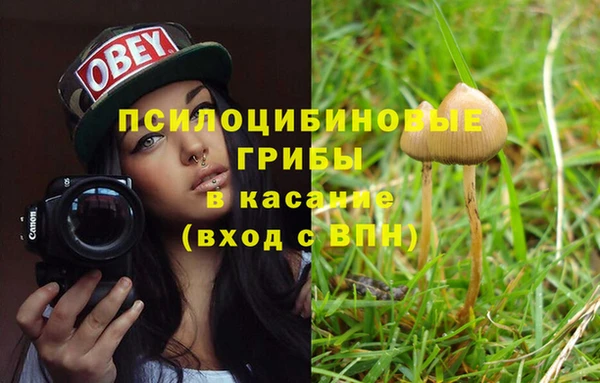 apvp Заволжск
