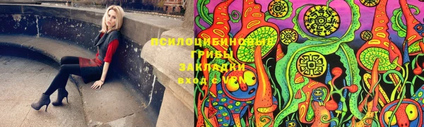 apvp Заволжск