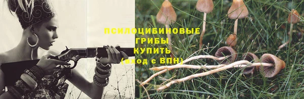 молекула духа Заволжье