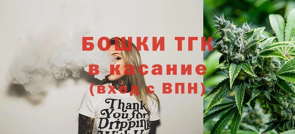 молекула духа Заволжье