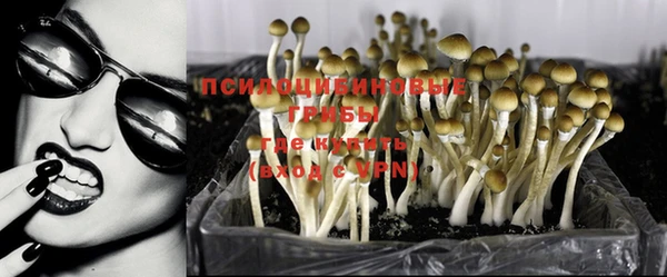 молекула духа Заволжье