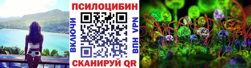 площадка какой сайт  Сенгилей  Галлюциногенные грибы Magic Shrooms 